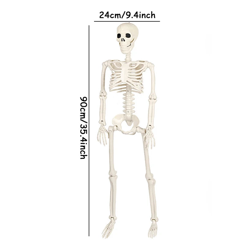 Halloween Movable Skeleton Fake Human Skull Bones