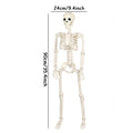 Halloween Movable Skeleton Fake Human Skull Bones