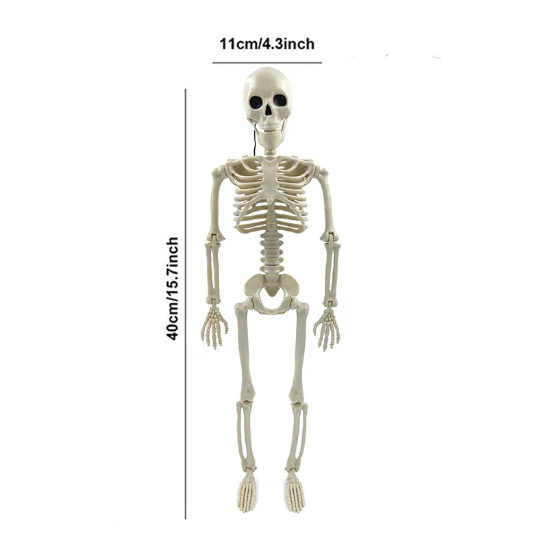 Halloween Movable Skeleton Fake Human Skull Bones