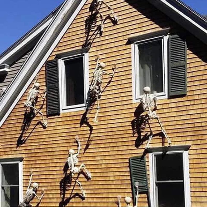 Halloween Movable Skeleton Fake Human Skull Bones