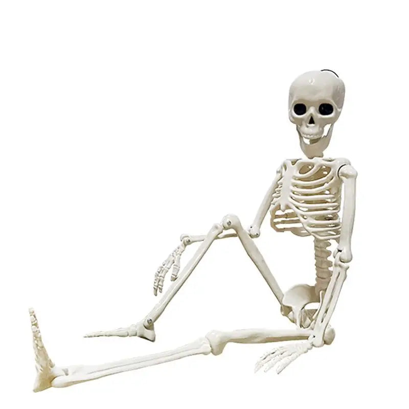 Halloween Movable Skeleton Fake Human Skull Bones